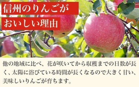 【2027年3月～2027年4月配送】先行受付［訳あり］旬のりんご 約3kg 6～14玉 ［小布施屋］ 令和9年産 傷 規格外 不揃い 訳アリ 家庭用 りんご 林檎 リンゴ 果物 フルーツ 長野県産 