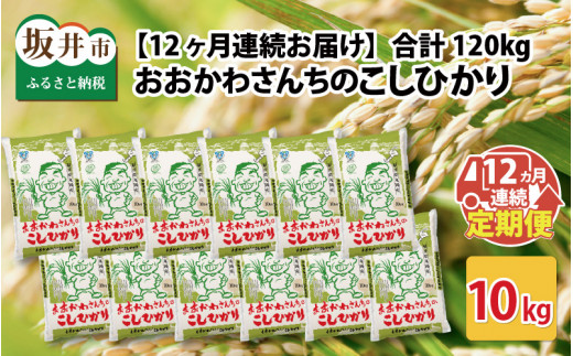 【令和7年産】 【12ヶ月連続お届け定期便】おおかわさんちのコシヒカリ 10kg × 12回 【コシヒカリ 米 おこめ 精米 10キロ ブランド米 国産】 [O-10804]