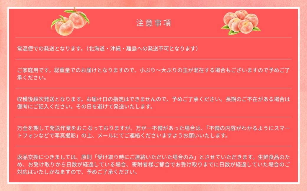 【2026年先行予約】［なんばふぁーむ］岡山県産 黄金桃 4.0kg（11〜14玉）［ご家庭用］【039-a007】 4.0kg（11～14玉）