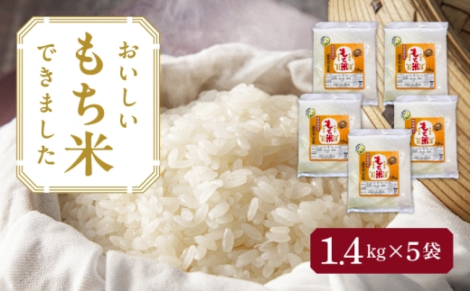 【5袋】愛知県産滋賀羽二重糯 計7kg（1.4kg×5袋） 特別栽培米 もち米 お米 愛西市 ／ 株式会社TONORI [AECT003]