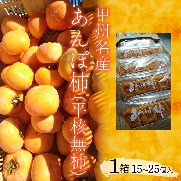 【ふるさと納税】＜2026年11月下旬以降発送先行予約＞甲州名産　あんぽ柿（平核無柿）1箱（5パック入り） ふるさと納税 おすすめ 山梨県 南アルプス市 送料無料 ALPCM008