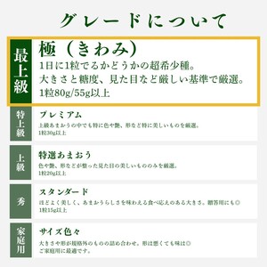 いちご 特大 あまおう 苺 「極」 1粒80g以上 いちご