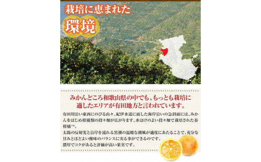 清見オレンジ 約5kg / 果実サイズおまかせ ※2027年2月中旬～2027年4月下旬頃に発送予定　紀伊国屋文左衛門本舗【kstb400B】