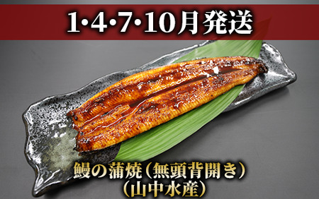 定期便 全3回 指宿のイチ押し定期便 鰻・和牛・黒豚 IBZ999-001 定期便 定期便