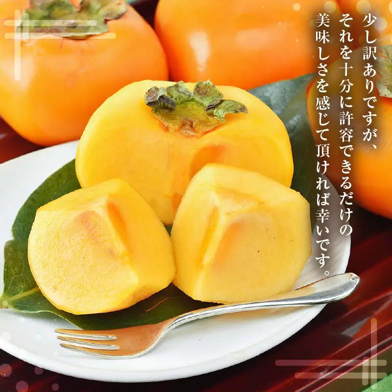 【先行予約】【訳あり】【2026年10月下旬～11月中旬に発送予定】甘みすっきり！あわらのたねなし柿 約3.5kg（18個入）（ご家庭用）／ 果物 フルーツ 産地直送 期間限定 ※2026年10月下旬
