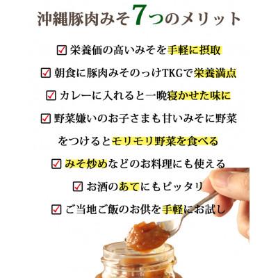 ふるさと納税 糸満市 沖縄県民が愛する ご飯のお供 豚肉みそ 6個 セット |  | 01