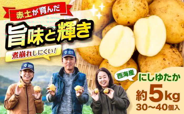 
                  じゃがいも 勝田農園の満々 じゃがいも にしゆたか 約5kg（M〜Lサイズ混合） ジャガイモ ＜勝田農園＞ [CGM001] 長崎 西海 じゃがいも ぽてと jagaimo いも 芋 野菜 potato 産地直送 長崎 西海 ジャガイモ ポテト イモ にしゆたか 新鮮 芋 じゃがいも ホクホク じゃがいも おまかせ お取り寄せ 通販 野菜 サイズ混合 ジャガイモ ポテト とれたて 新じゃが
                