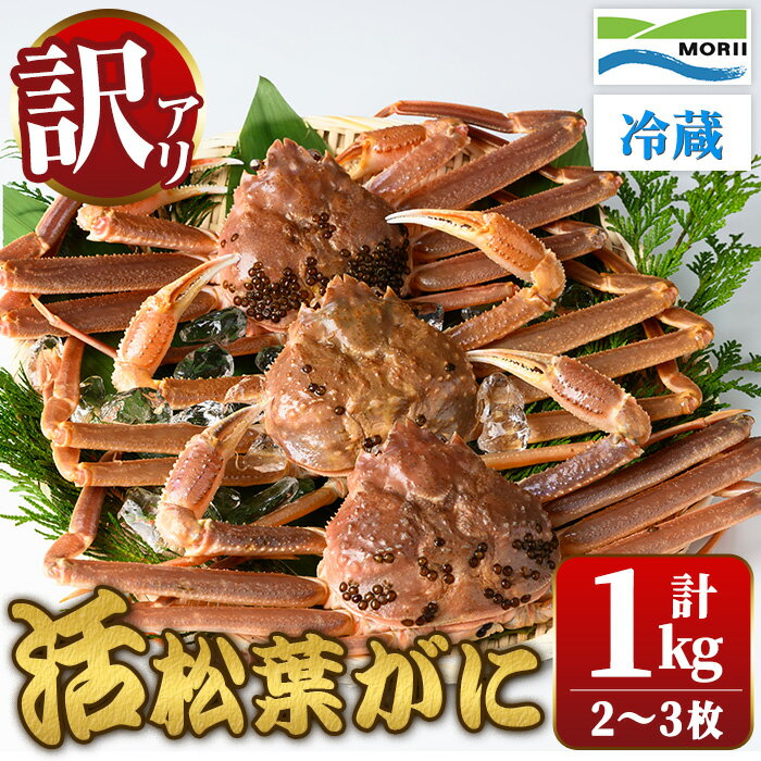 【ふるさと納税】＜先行予約受付中！11月中旬～12月上旬配送予定＞＜訳あり・足欠け＞鳥取県産活松葉がに(1kg・2～3枚) 訳アリ 国産 魚介 海鮮 カニ かに 蟹 松葉ガニ 松葉蟹 ズワイガニ ずわいがに 冷蔵 【sm-AM007】【モリイ食品】