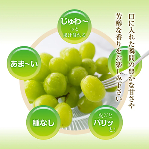 【2026年収穫分先行予約】 シャインマスカット 1.2kg ＼山梨県産 国産 ／ 特選 おすすめ 人気 予約 ギフト 産地直送 ぶどう 葡萄 果物 フルーツ くだもの シャイン マスカット お届け 