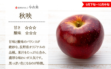 【2026年/令和8年度発送分！】信州のりんご 秋映 約3kg りんご リンゴ 林檎 長野 フルーツ 果物 信州産 長野県産 特産 産地直送 おすすめ