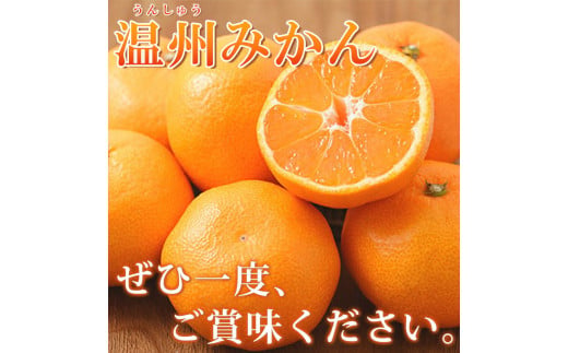 有田の小粒みかん5kg　(S～3Sサイズ混合) ※2026年11月下旬～2027年1月下旬頃に順次発送予定 / みかん ミカン 蜜柑 温州みかん 柑橘 フルーツ 果物 くだもの 和歌山【uot845】