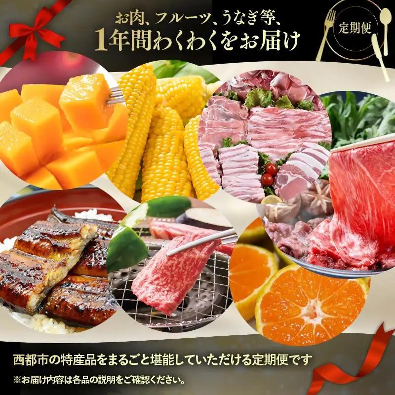 【季節の定期便E】12ヶ月毎月届く 西都まるごと堪能セット16品お届け！【プラチナコース】マンゴー 宮崎牛 うなぎ 牛肉 すき焼き 地鶏 鍋等＜1-5a＞