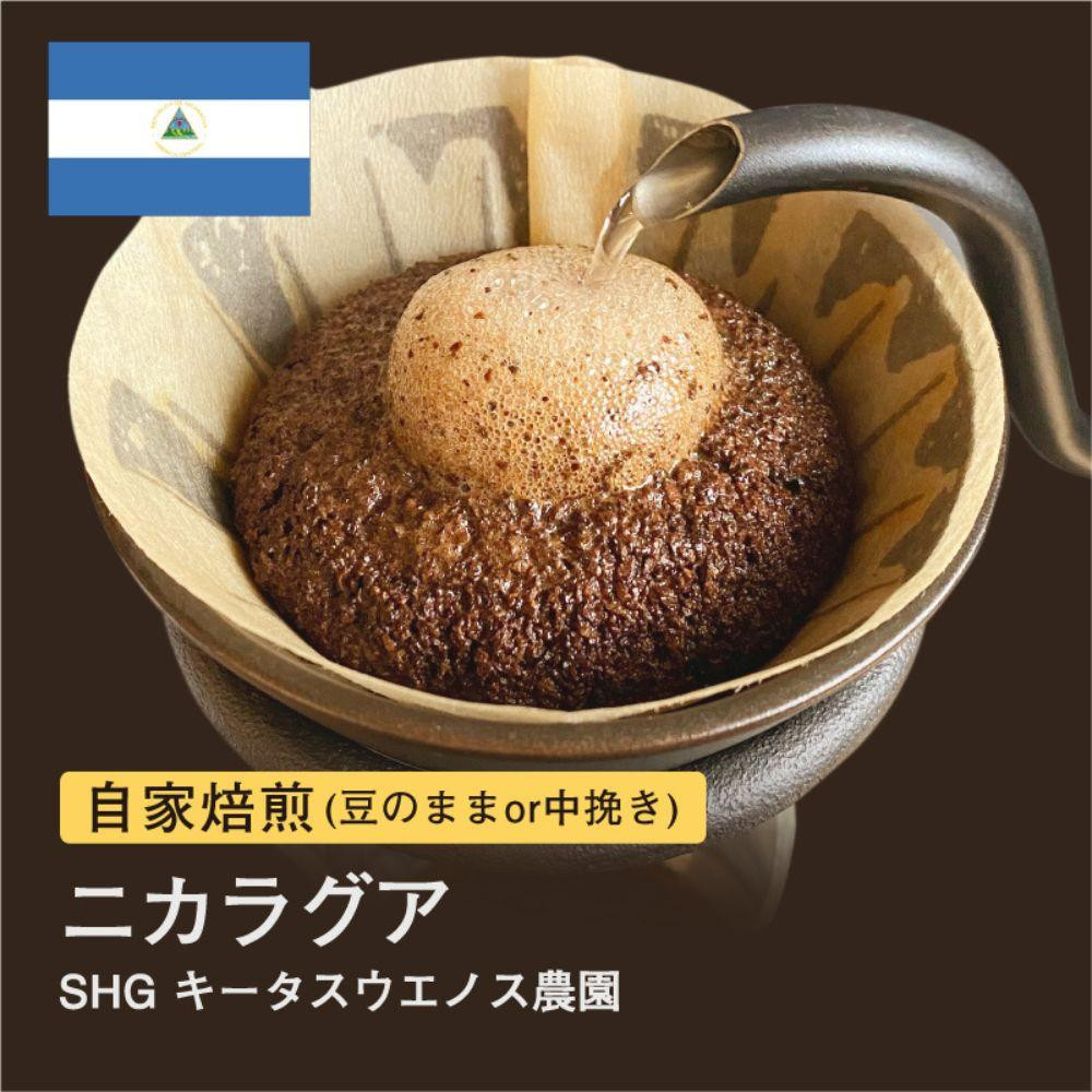 
自家焙煎コーヒー！#038 310g ニカラグア SHG キータスウエノス農園 珈琲（豆または中挽きから選択）
