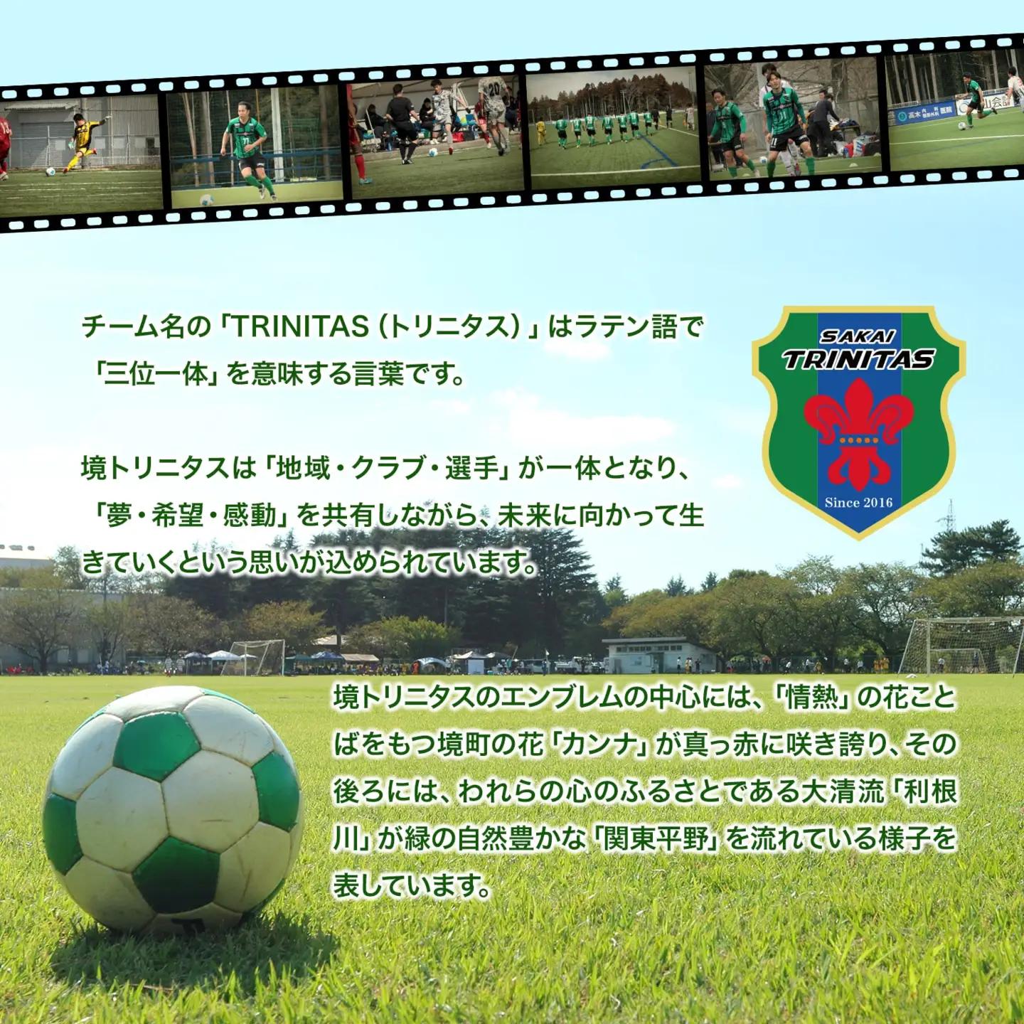 【5日以内発送】 境トリニタス応援ボックスティッシュ 30箱 K2604