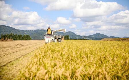【2025年産新米】【3ヶ月定期便】10kg(10kg×1袋) 県認証 魚沼産新之助 |津南町 コシヒカリ 定期便