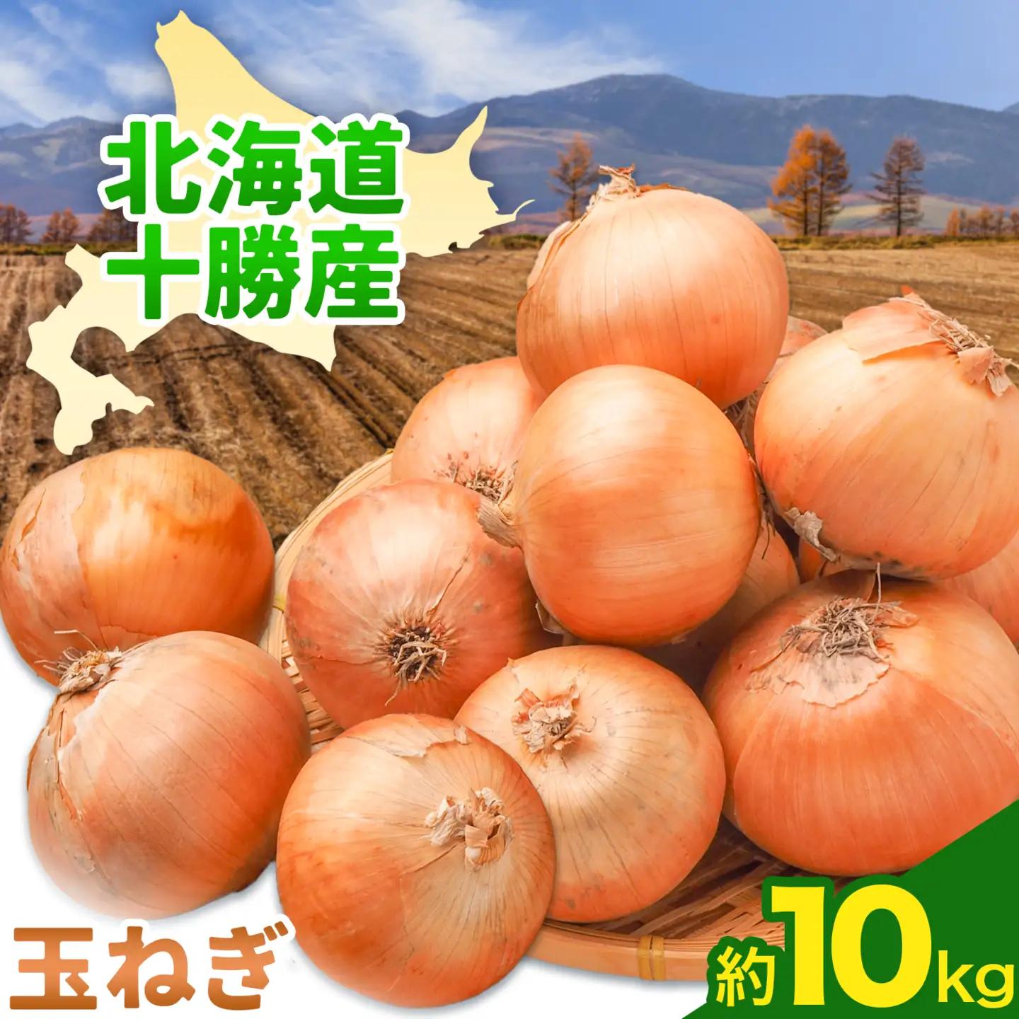 【先行予約】玉ねぎ たまねぎ 玉葱 選べる 約10kg サイズ混合《2026年10月上旬から11月上旬頃出荷》嶋崎農園 送料無料 北海道 本別町 北海道 十勝 本別町産 オニオン カレー サラダ スープ 野菜