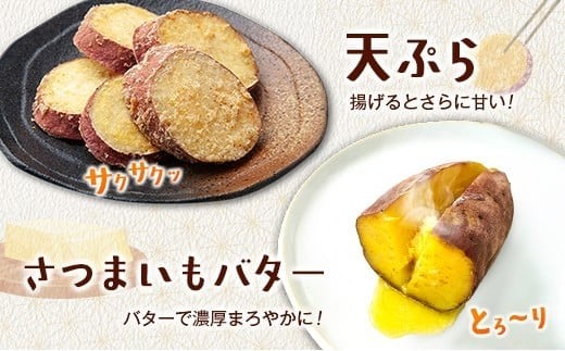 長期熟成 紅はるか 計5kg 宮崎県都城市産 さつまいも サツマイモ 計5kg