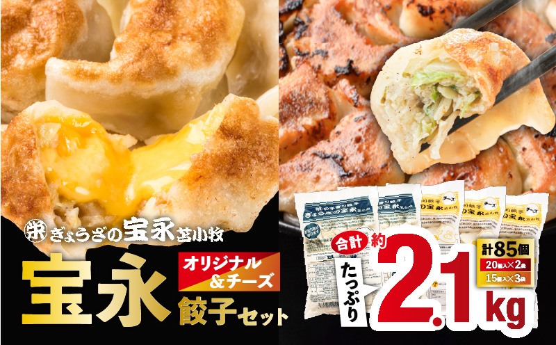 【ぎょうざの宝永】宝永餃子（500g×2袋）＆チーズ餃子（375g×3袋）セット　合計2,125g　T004-002