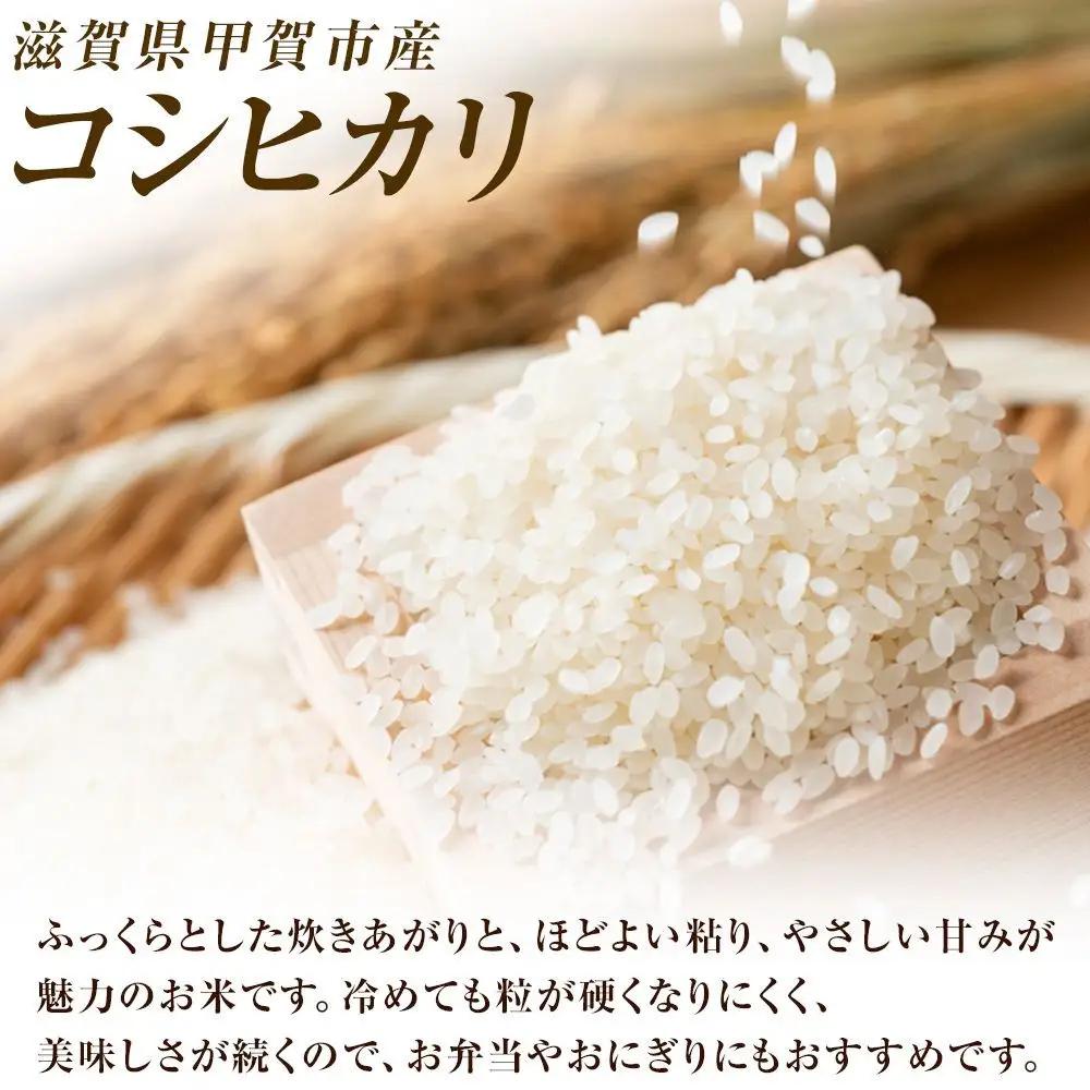 【令和8年産 新米 先行予約】近江米コシヒカリ白米5kg×3回定期便※2026年9月～発送