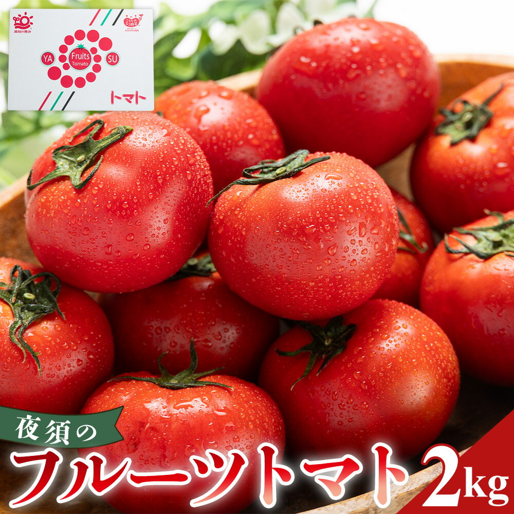 【ふるさと納税】【2026年出荷分 先行予約受付】夜須のフルーツトマト 約2kg - 旅サラダに取り上げられました！ 令和8年 野菜 やさい とまと フルティカ 完熟 小ぶり 小さめ 糖度 フレッシュ 産地直送 高知県 香南市 レビューキャンペーン ゆずあんぱん風おまんじゅう