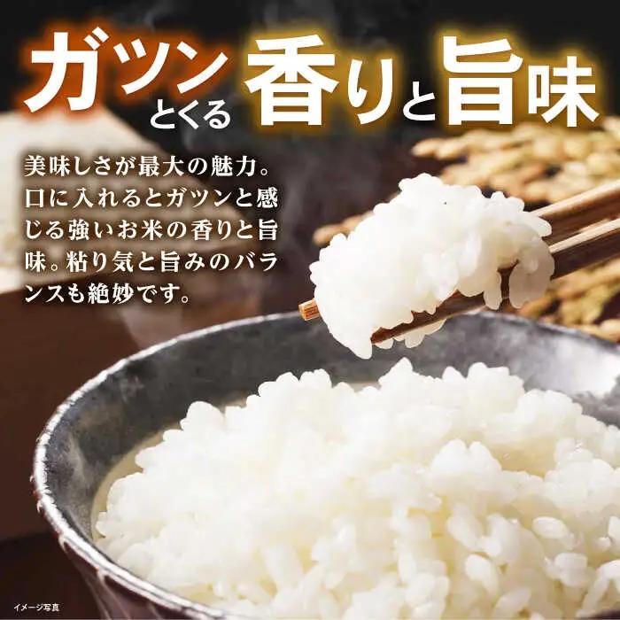 米 コシヒカリ JASオーガニック 10kg 白米 [AQBL003]こしひかり
