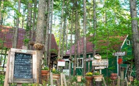 【1名様】 エゾリス君の宿カンタベリー（1泊2食付） 宿泊券 1枚 朝食 夕食 チケット [044-0232]