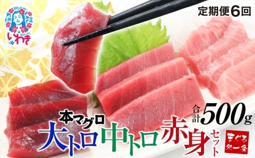 【定期便/計6回】本マグロ大トロ中トロ赤身セット500g（計3kg）|選べる 回数 定期便 解凍レシピ付 1サクずつ 真空包装 ｜ マグロ 鮪 まぐろ トロ 刺身 寿司