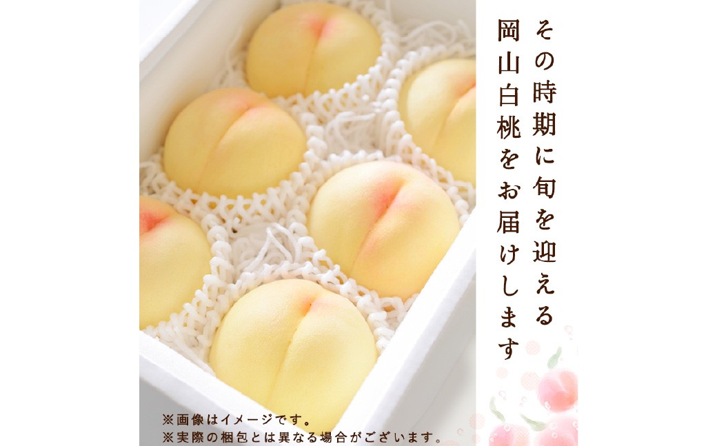 白桃 5玉（1.5kg以上） 等級：ロイヤル 木箱入り