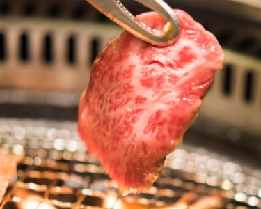 【美味しい宮崎牛専門店ミヤチクからお届け】４等級以上宮崎牛訳あり焼肉バラエティパック　ボリューム満点1.5ｋｇ