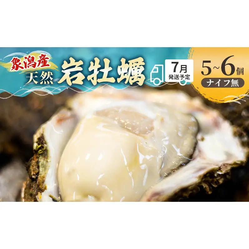 【 先行予約 7月上旬～下旬発送予定】象潟産 天然岩牡蠣 5～6個 ナイフ無【 牡蠣 夏牡蠣 かき 象潟 生食可 魚介類 海鮮 海産物 海の幸 】 佐藤鮮魚店