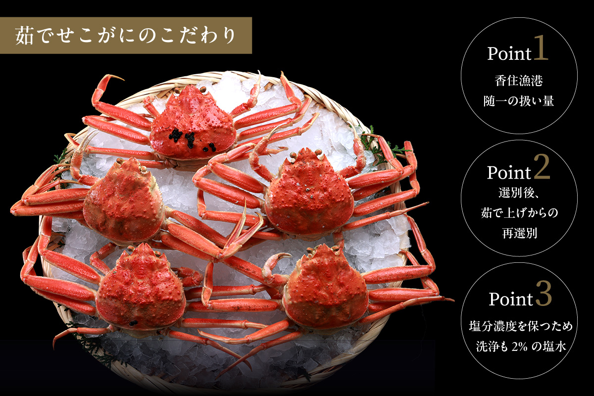 【セコガニ 約120g×6匹 釜茹で 冷凍】濃厚 かにミソ 内子 外子 産地直送 鮮度抜群 国産 カニ かに 蟹 松葉がに せいこがに メスガニ 親ガニ ふるさと納税 おすすめ 返礼品 兵庫県 香美町