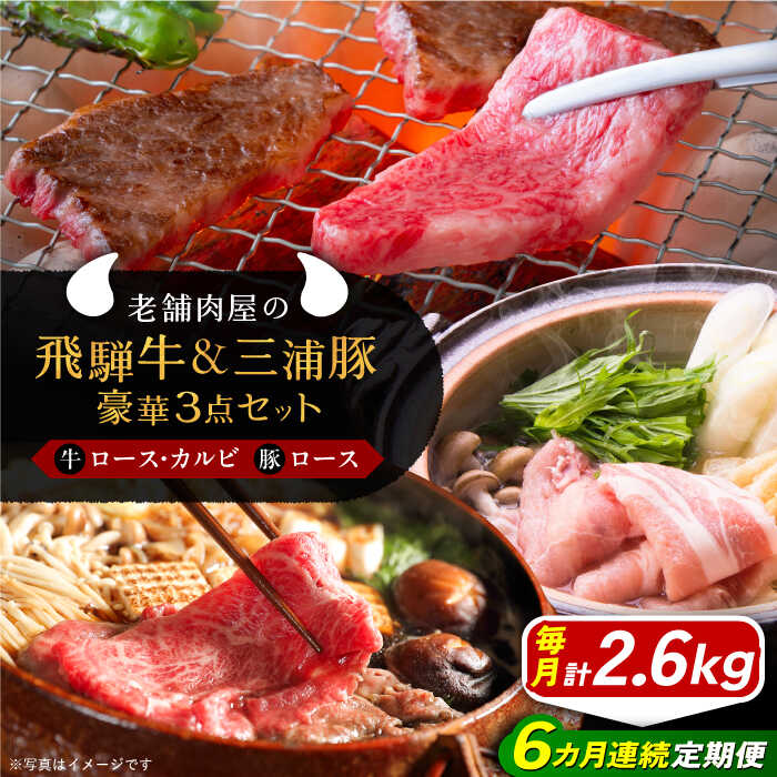 【ふるさと納税】【6回定期便】 牛肉 飛騨牛ロース1kg カルビ700g 三浦豚ロース900g 豪華3点セット 各種類1パック しゃぶしゃぶ・焼肉 和牛 国産 霜降り 肉 にく 牛肉 国産 和牛 霜降り 産地直送 贈答用 ギフト ブランド牛 岐阜県産 人気 お取り寄せ /恵那市/岩島屋[AUAJ031]