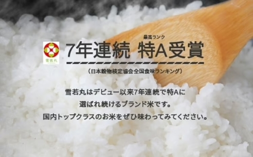 【先行予約】新米 5kg 5kg×1 雪若丸 玄米 令和8年産 2026年10月下旬 mk-ywxxb5-g10c