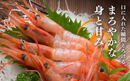三国港のとれとれ甘えび（冷凍） 約1kg × 1箱（小サイズ：約120～160匹）【海老 えび エビ アマエビ あまえび 甘海老 赤エビ アカエビ あかえび ホッコクアカエビ 殻付きえび 有頭えび 殻