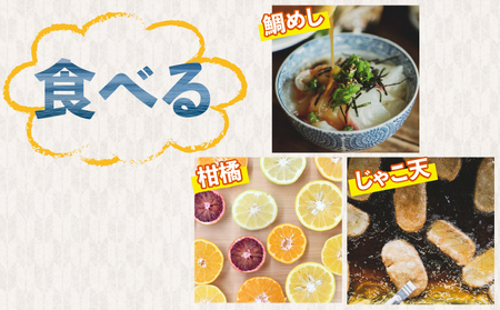 鯛めし 6食 セット 薬味 付き 有限会社 アクアプラス 生鯛めし 真鯛 鯛 マダイ タイ tai 刺身 お刺身 刺し身 丼 丼ぶり 海鮮丼 郷土料理 鯛飯 海鮮 人気 海の幸 魚介 水産 人気加工品