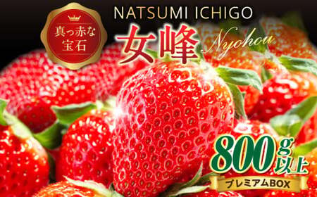 NATSUMI　ICHIGO　女峰800g以上　プレミアムBOX【2025年1～6月配送】_mk060-004