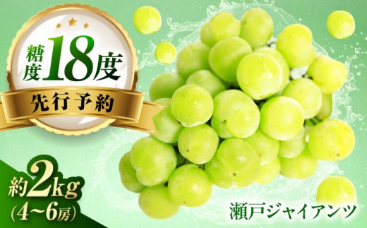 ぶどう 【先行予約】瀬戸ジャイアンツ 約2kg1箱（4房～6房）/ 瀬戸ジャイアンツ ぶどう ブドウ 葡萄 マスカット ますかっと 愛媛県 愛媛 内子町 フルーツ 果物 送料無料 美味しい おすすめ 人気 皮ごと 特産品 四国 国産 瀬戸ジャイアンツ せとじゃいあんつ 種なし 皮ごと 甘い 大粒 旬 産地直送 愛媛 内子町 国産 ふるさと納税 ギフト 【有限会社ふじブドウ園】 [BKCW001]