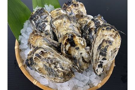 【北海道根室産】貝付き牡蠣80個[2024年4月上旬以降発送] D-54008