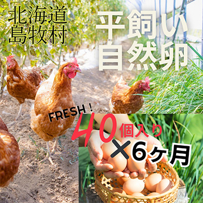 
                  ＜毎月定期便＞ハッピープレイスの自然卵＜ハッピーたまご＞40個入り(全6回)【4012331】
                
