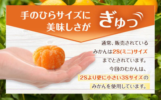T4 【訳あり】 むかん 1kg (1kg×1) みかん 冷凍 福岡県 みやま市_イメージ4