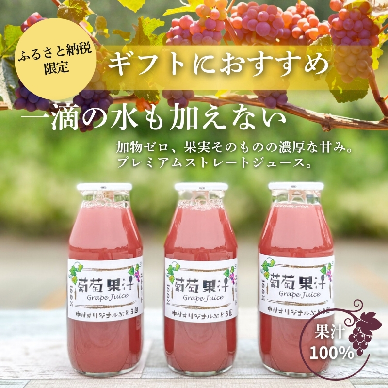 ぶどうジュース3本とぶどうジャムおまかせ2種詰合せ lぶどう100％スペシャルジャム 砂糖不使用  原材料はぶどうのみ 中村オリジナルぶどう園 国産ぶどう100％使用 高級手づくりジャム 無添加 無着
