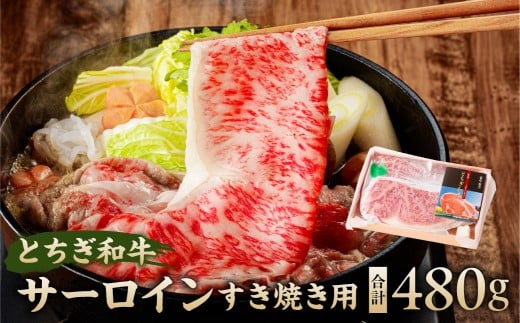 とちぎ和牛サーロインすき焼き用 ns032-005 【牛肉 国産 赤身 しゃぶしゃぶ 】