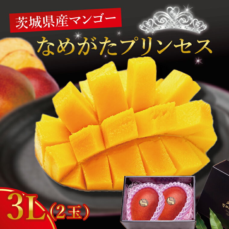 【ふるさと納税】【2026年6月下旬より順次発送】★数量限定★マンゴー なめがたプリンセス 2玉(3L)｜マンゴー フルーツ 果物 くだもの 数量限定 先行予約 茨城県 行方市(EJ-4)
