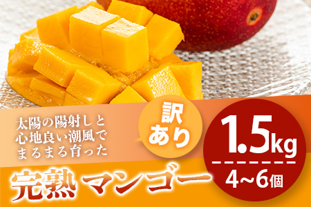 【訳あり】石垣島産マンゴー（約 1.5kg：4～6 個）C級 《2024年7月上旬から順次発送》 KP-12 【 産地直送 旬 フルーツ 新鮮 訳あり マンゴー 石垣 沖縄 】