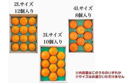 【先行予約】紅まどんな（JA東予園芸）青秀_8～12個入_4L～2Lサイズ（約3kg）　2025年11月下旬～12月下旬発送｜ 紅まどんな 愛媛産紅まどんな 高級かんきつ紅まどんな 人気紅まどんな 紅