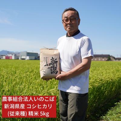ふるさと納税 三条市 先行受付 新潟県三条市産 コシヒカリ(従来種) 精米 5kg 令和7年産 【015S196】