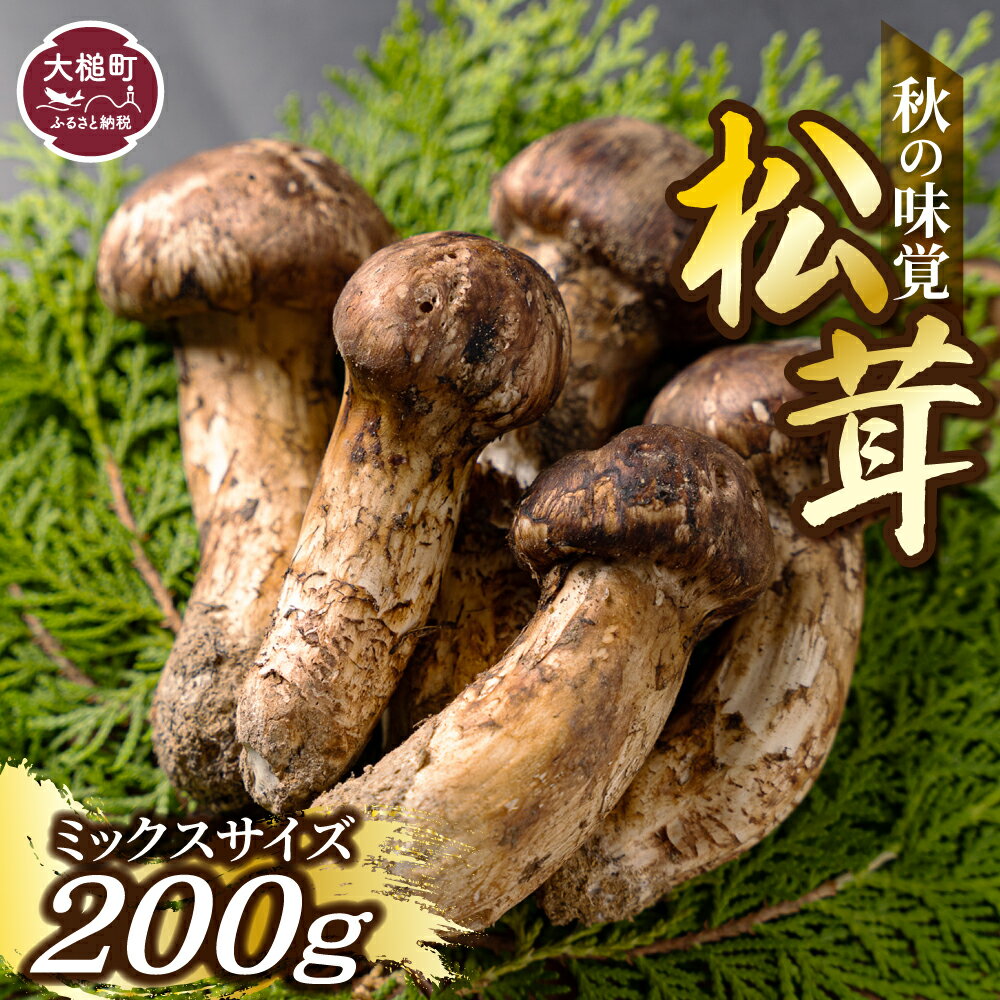 【ふるさと納税】松茸 200g 岩手 県 産 国産 まつたけ マツタケ 期間限定 ふるさと納税松茸 ミックス サイズ 岩手県大槌町 土瓶 蒸し 天然 季節限定 産地直送 希少 採れたて 山の幸 きのこ MOMIJI 送料無料 いわて マラソン 買い回り