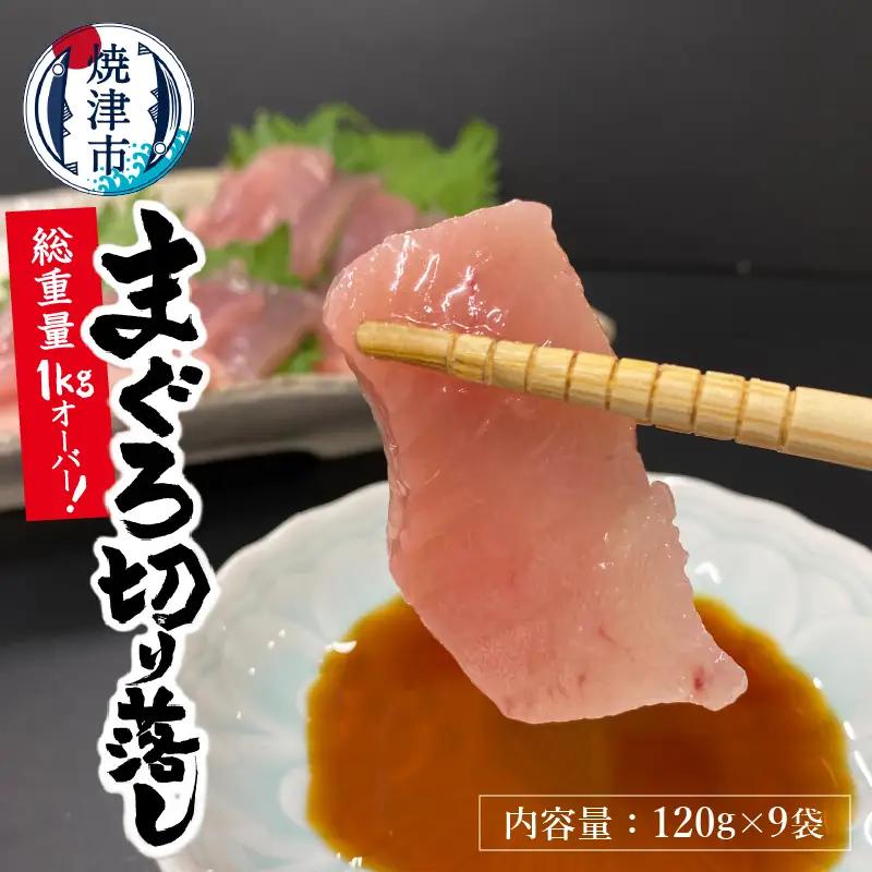 【2026年7月お届け】天然 びんちょう まぐろ お刺身 パック 合計1kg以上 (a10-649202607)