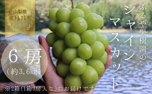 【令和8年発送・先行予約】南アルプス市産シャインマスカット(6房・約3.6kg)真心で育てる大地の宝石！ ALPDX001