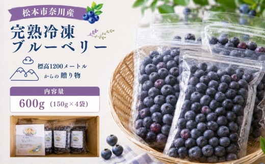 【栽培期間中農薬不使用】標高1200mで育った完熟冷凍ブルーベリー 600g（150g×4パック）｜信州 ブルーベリー 完熟 急速冷凍 甘味 酸味 奈川 ふるさと納税 松本市